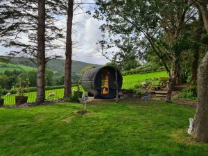 Barrel sauna - Image 4